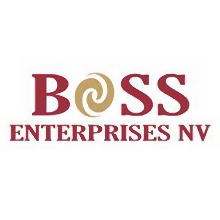 Boss enterprises NV gold mining companies in suriname logo